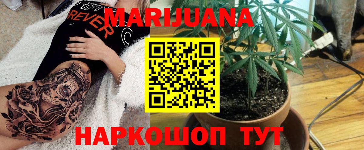Каннабис ГИДРОПОН Шахты